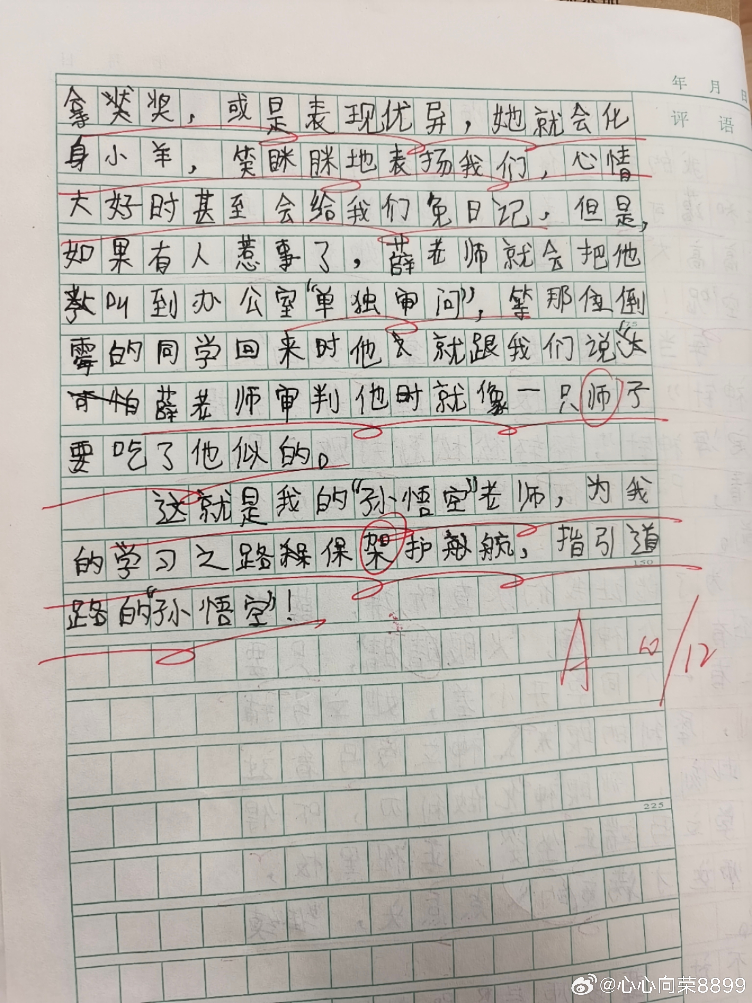 小学最新作文，探索与发现的奇妙之旅