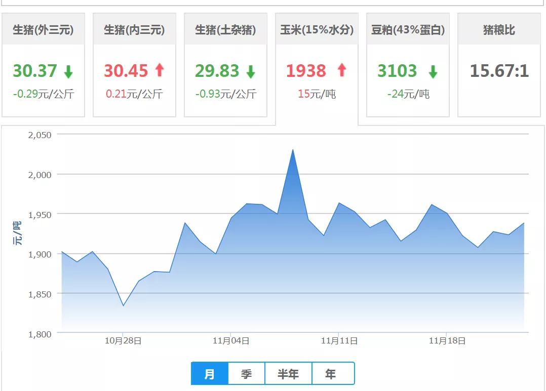 辽宁最新猪价分析与趋势预测